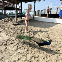 фото из отзыва ID 2673285