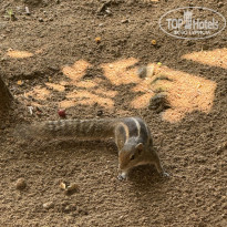 фото из отзыва ID 2673617