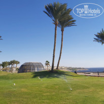 фото из отзыва ID 2673621