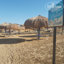 фото из отзыва ID 2673621