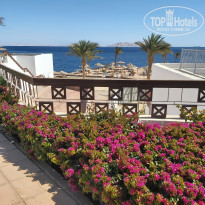 фото из отзыва ID 2673621