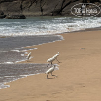 фото из отзыва ID 2673617