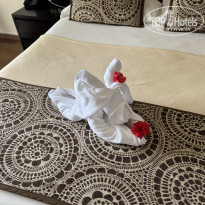 фото из отзыва ID 2673617