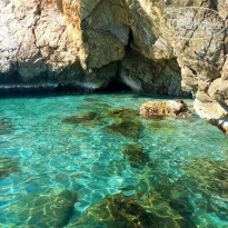 фото из отзыва ID 2673662