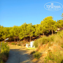 фото из отзыва ID 2673662