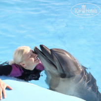 фото из отзыва ID 2673672