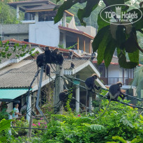 фото из отзыва ID 2673726