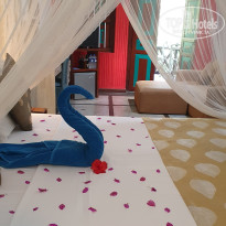 фото из отзыва ID 2673726