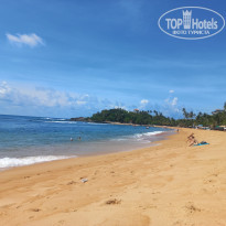 фото из отзыва ID 2673738