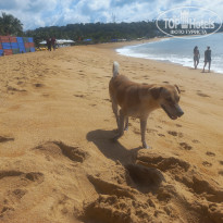 фото из отзыва ID 2673738