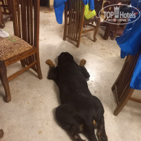 фото из отзыва ID 2673738