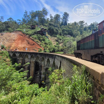 фото из отзыва ID 2673738