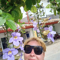 фото из отзыва ID 2673738