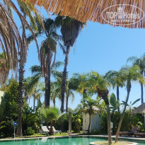 фото из отзыва ID 2673771