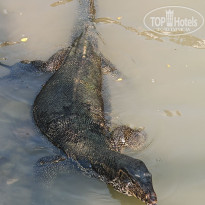 фото из отзыва ID 2673829