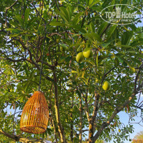 фото из отзыва ID 2673829