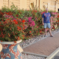 фото из отзыва ID 2673842