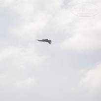 фото из отзыва ID 2673465