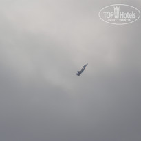 фото из отзыва ID 2673465