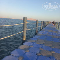 фото из отзыва ID 2673864