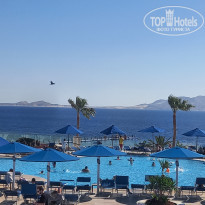 фото из отзыва ID 2673864