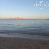 фото из отзыва ID 2673864