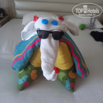 фото из отзыва ID 2673864