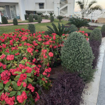 фото из отзыва ID 2673864