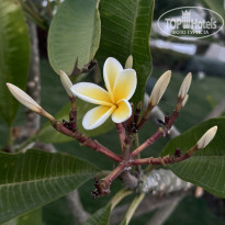 фото из отзыва ID 2673884