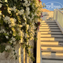 фото из отзыва ID 2673884