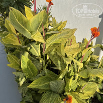 фото из отзыва ID 2673884