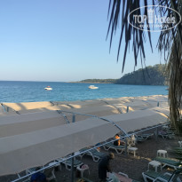 фото из отзыва ID 2673871