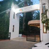 фото из отзыва ID 2673871