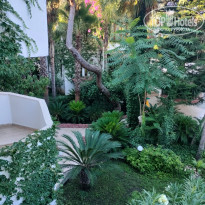 фото из отзыва ID 2673871