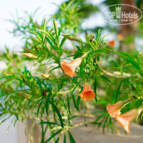 фото из отзыва ID 2673915