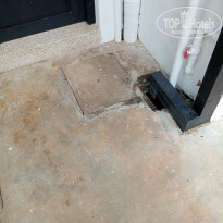 фото из отзыва ID 2673922