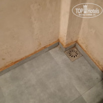 фото из отзыва ID 2673922