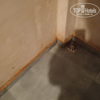 фото из отзыва ID 2673922