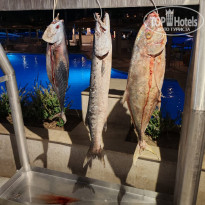 фото из отзыва ID 2673941