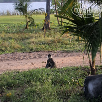 фото из отзыва ID 2673965