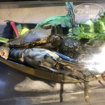 фото из отзыва ID 2673965