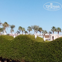 фото из отзыва ID 2673972