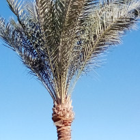 фото из отзыва ID 2673972