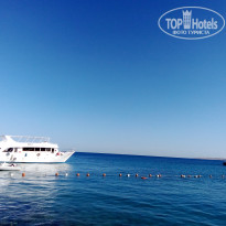 фото из отзыва ID 2673972