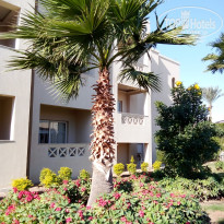 фото из отзыва ID 2673972