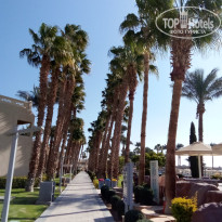 фото из отзыва ID 2673972