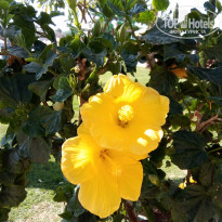 фото из отзыва ID 2673972