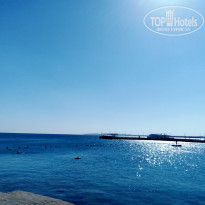 фото из отзыва ID 2673972