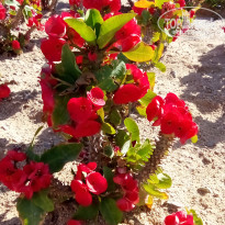 фото из отзыва ID 2673972