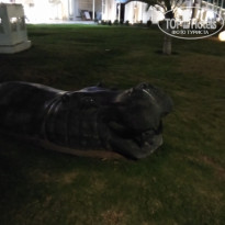 фото из отзыва ID 2673972